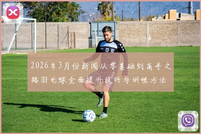 2026年3月份新闻从零基础到高手之路羽毛球全面提升技巧与训练方法指南