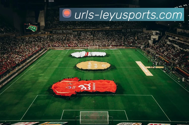 多媒体互动体验